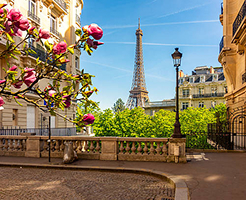 Eiffel Tower in Paris